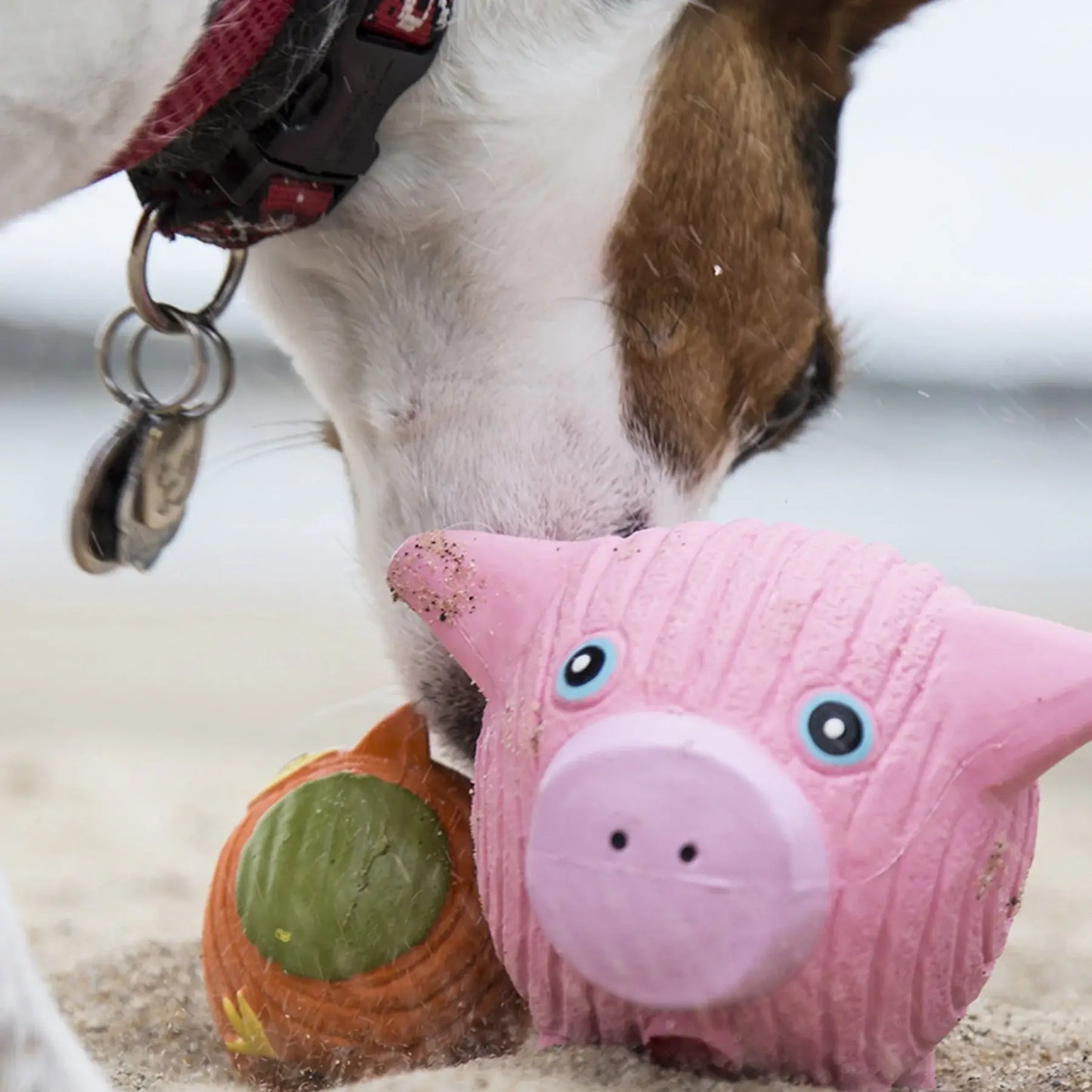 Hamlet Pig Ruff-Tex® Latex Ball Dog Toy, Large - HuggleHounds - Flyclothing LLC