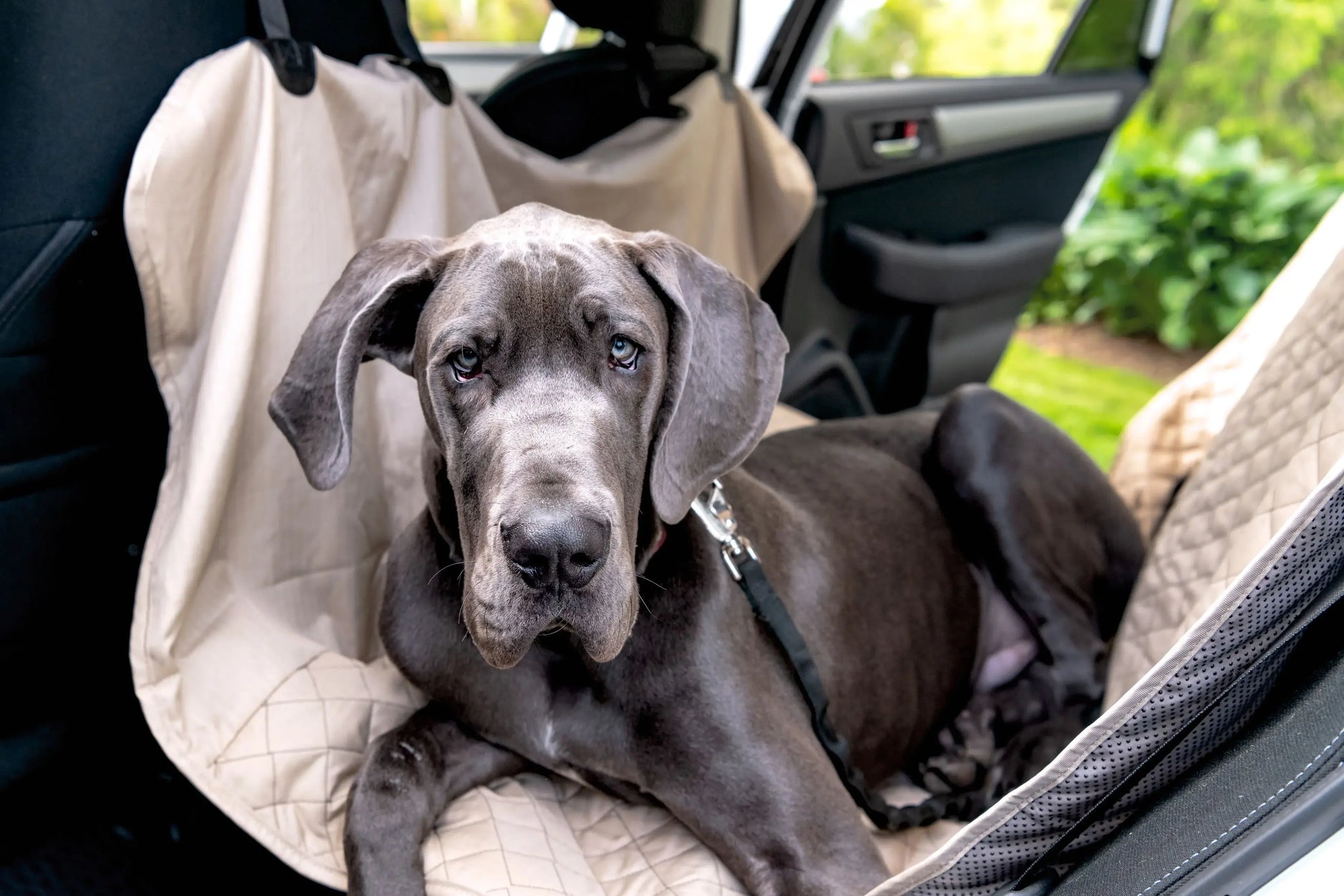 TuffutLuxx® Vehicle Protectors for Travel - HuggleHounds - Flyclothing LLC