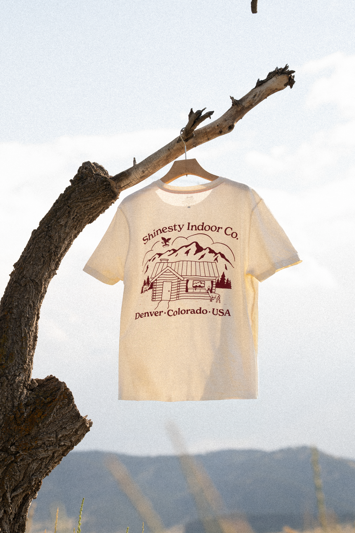The Shinesty Indoor Co | Cabin Everyman™ T Shirt