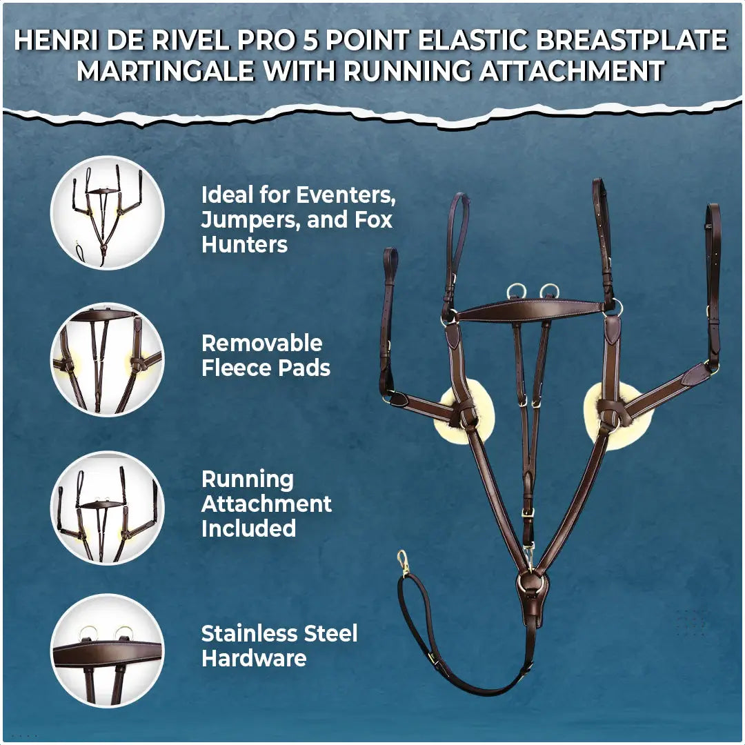 Henri de Rivel Pro 5 Point Elastic Breastplate Martingale with Running Attachment - Breeches.com - Flyclothing LLC