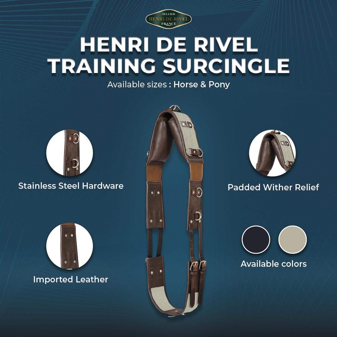 Henri de Rivel Training Surcingle - Breeches.com - Flyclothing LLC