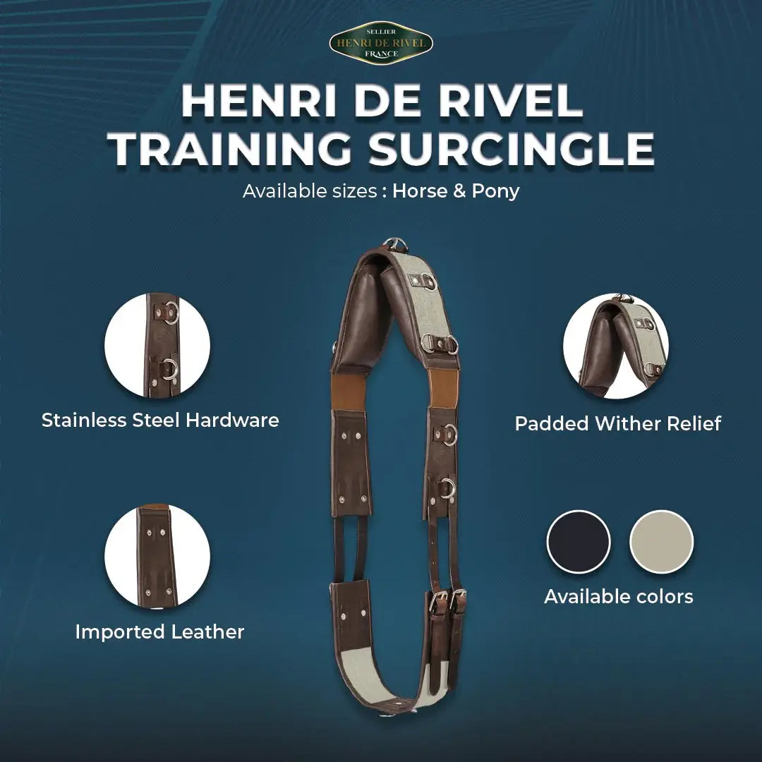 Henri de Rivel Training Surcingle - Breeches.com - Flyclothing LLC