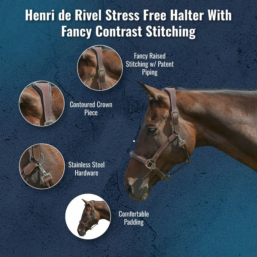 Henri de Rivel Stress Free Halter With Fancy Contrast Stitching - Breeches.com - Flyclothing LLC