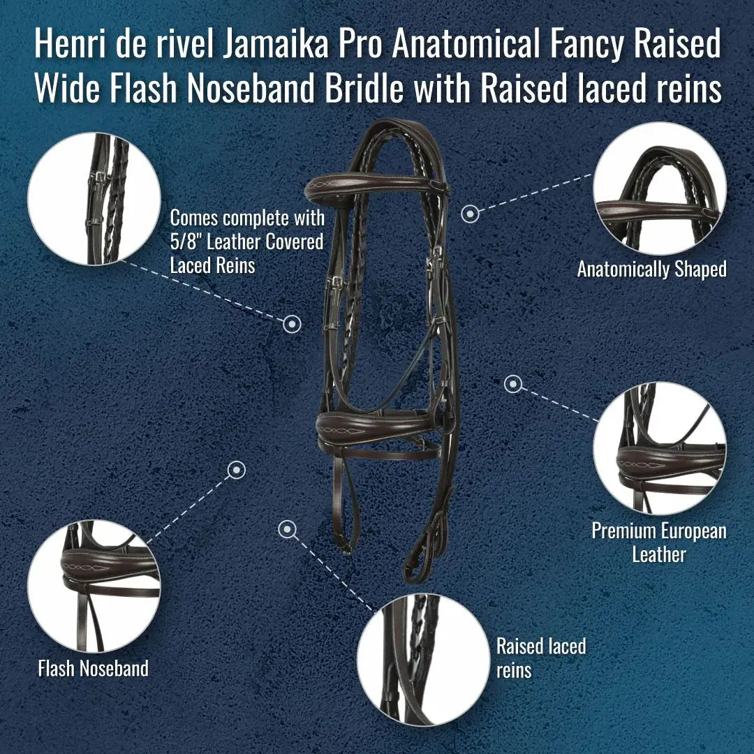 Henri de rivel Jamaika Pro Anatomical Fancy Raised Wide Flash Noseband Bridle with Raised laced reins - Breeches.com - Flyclothing LLC