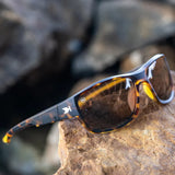 Tigers Eye High Stakes