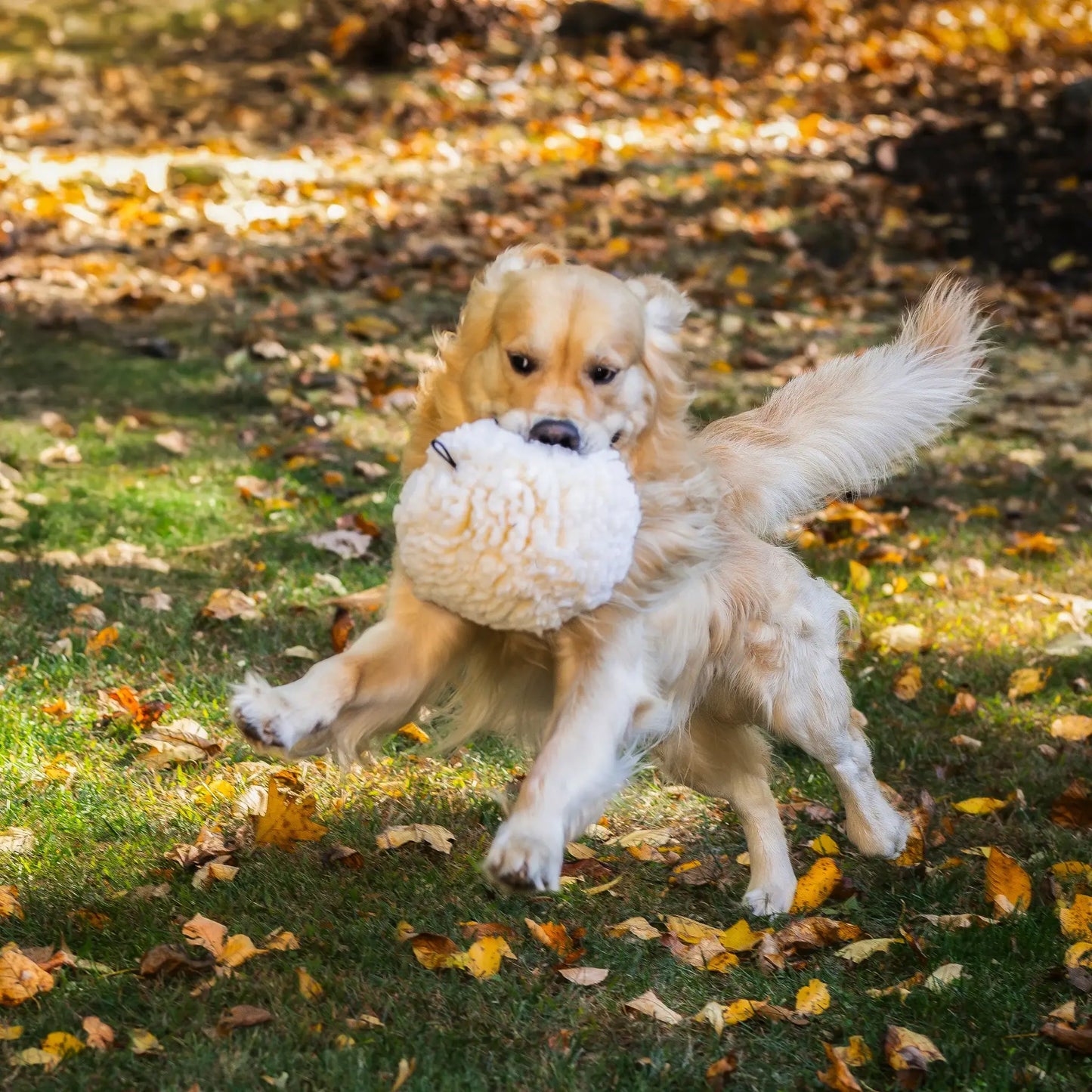 HuggleFleece® Plush Ball Dog Toy - HuggleHounds - Flyclothing LLC