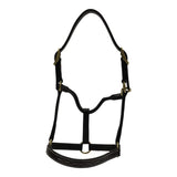 Huntley Equestrian Fancy Stitched Adjustable Premium Leather Pony Halter with Brass Hardware - Huntley Equestrian - Flyclothing LLC