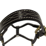 Huntley Equestrian Fancy Stitched Adjustable Premium Leather Pony Halter with Brass Hardware - Huntley Equestrian - Flyclothing LLC