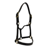 Huntley Equestrian Fancy Stitched Adjustable Premium Leather Pony Halter with Brass Hardware - Huntley Equestrian - Flyclothing LLC