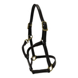 Huntley Equestrian Fancy Stitched Adjustable Premium Leather Pony Halter with Brass Hardware - Huntley Equestrian - Flyclothing LLC