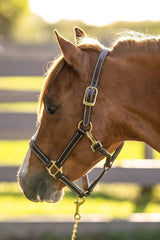 Huntley Equestrian Fancy Stitched Adjustable Premium Leather Pony Halter with Brass Hardware - Huntley Equestrian - Flyclothing LLC