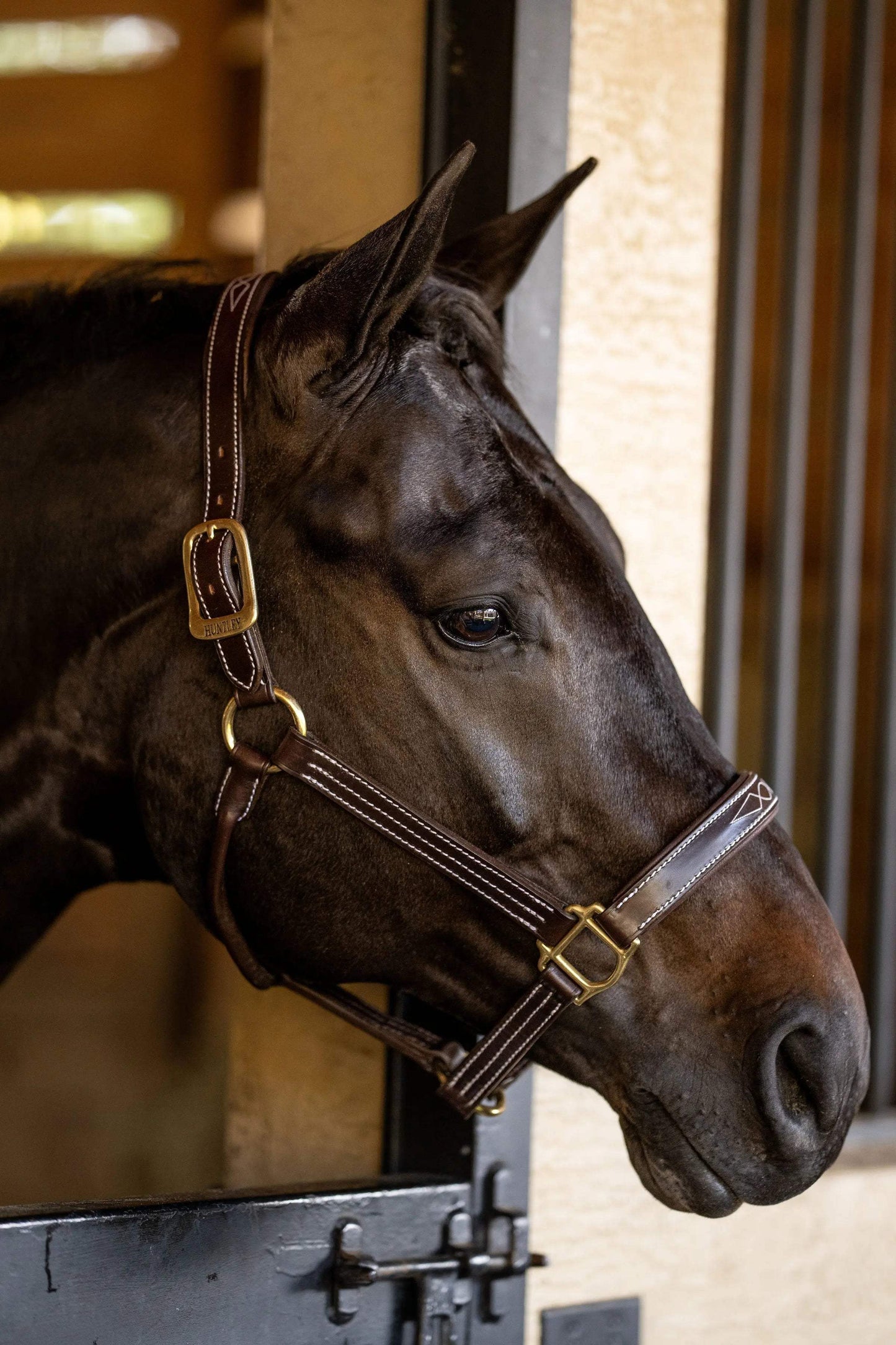 Huntley Equestrian Fancy Stitched Premium Leather Padded Halter - Huntley Equestrian - Flyclothing LLC