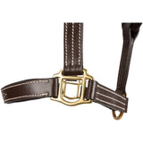 Huntley Equestrian Fancy Stitched Premium Leather Padded Halter - Huntley Equestrian - Flyclothing LLC