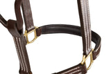 Huntley Equestrian Fancy Stitched Premium Leather Padded Halter - Huntley Equestrian - Flyclothing LLC