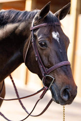Huntley Equestrian Fancy Stitched Schooling Hunter Bridle with Reins - Huntley Equestrian - Flyclothing LLC