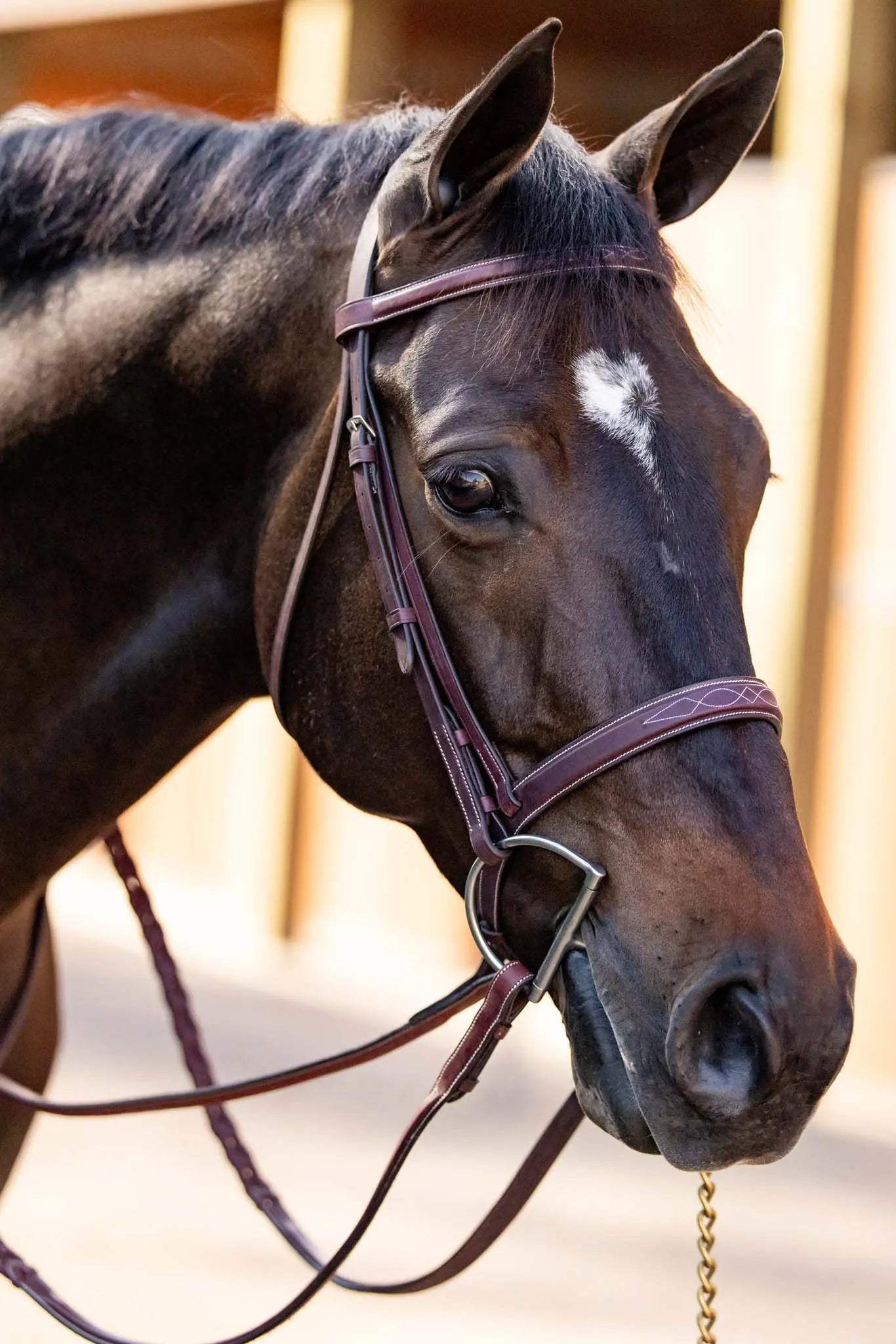 Huntley Equestrian Fancy Stitched Schooling Hunter Bridle with Reins - Huntley Equestrian - Flyclothing LLC