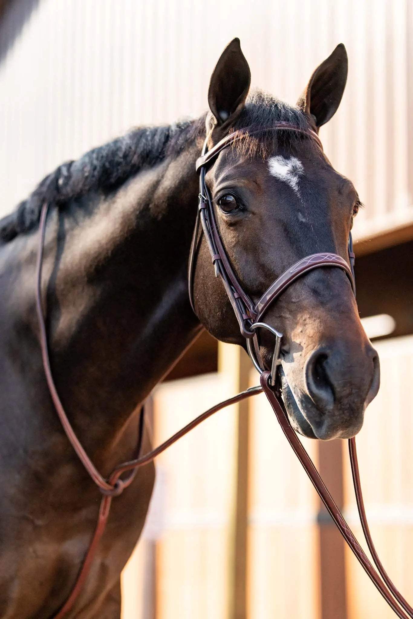 Huntley Equestrian Fancy Stitched Schooling Hunter Bridle with Reins - Huntley Equestrian - Flyclothing LLC