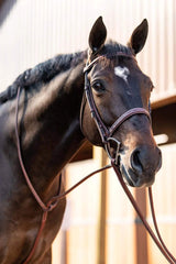 Huntley Equestrian Fancy Stitched Schooling Hunter Bridle with Reins - Huntley Equestrian - Flyclothing LLC