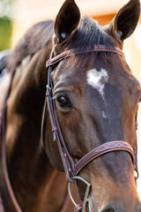 Huntley Equestrian Fancy Stitched Schooling Hunter Bridle with Reins - Huntley Equestrian - Flyclothing LLC