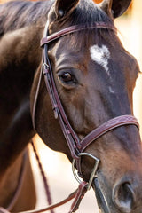 Huntley Equestrian Fancy Stitched Schooling Hunter Bridle with Reins - Huntley Equestrian - Flyclothing LLC