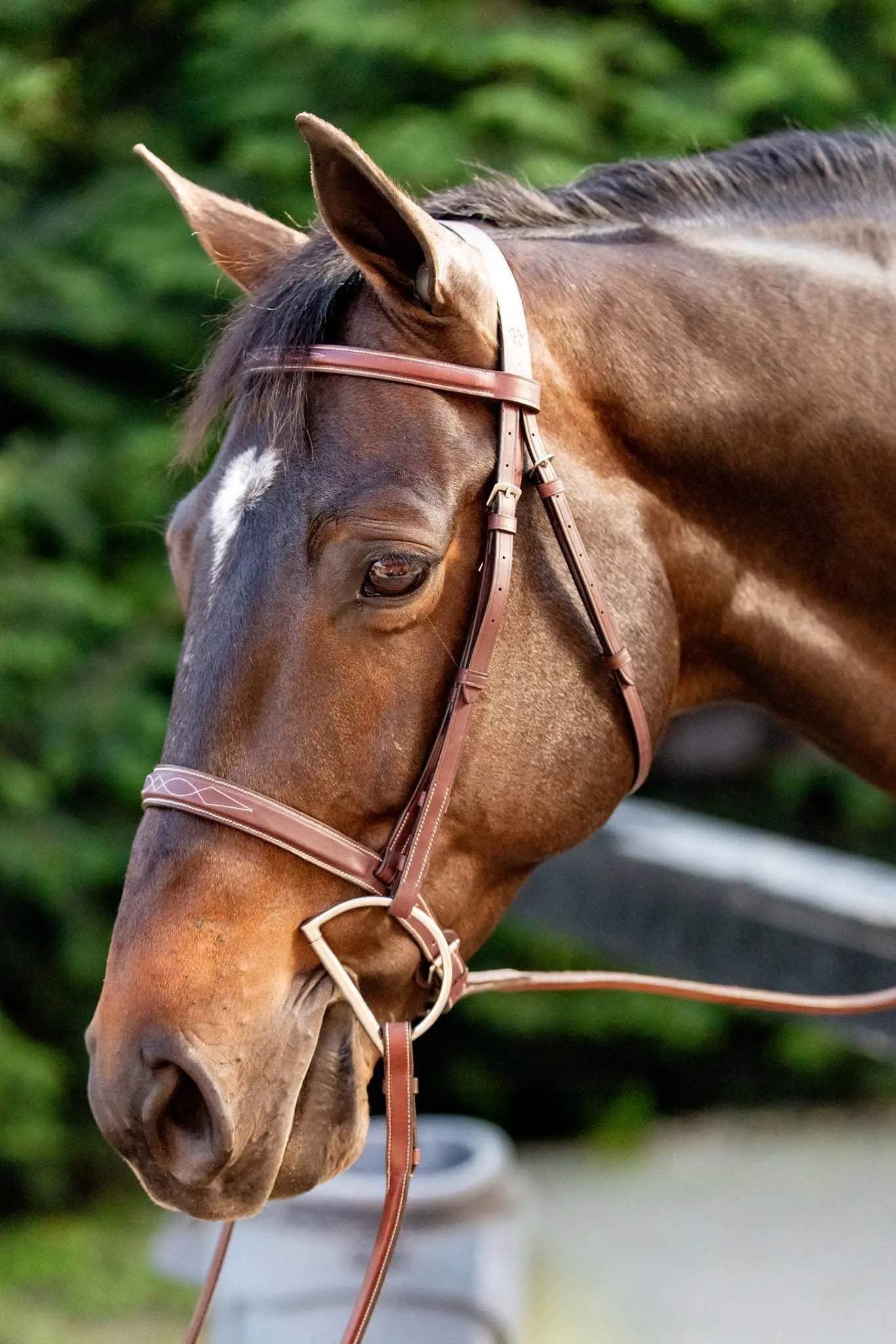 Huntley Equestrian Fancy Stitched Schooling Hunter Bridle with Reins - Huntley Equestrian - Flyclothing LLC