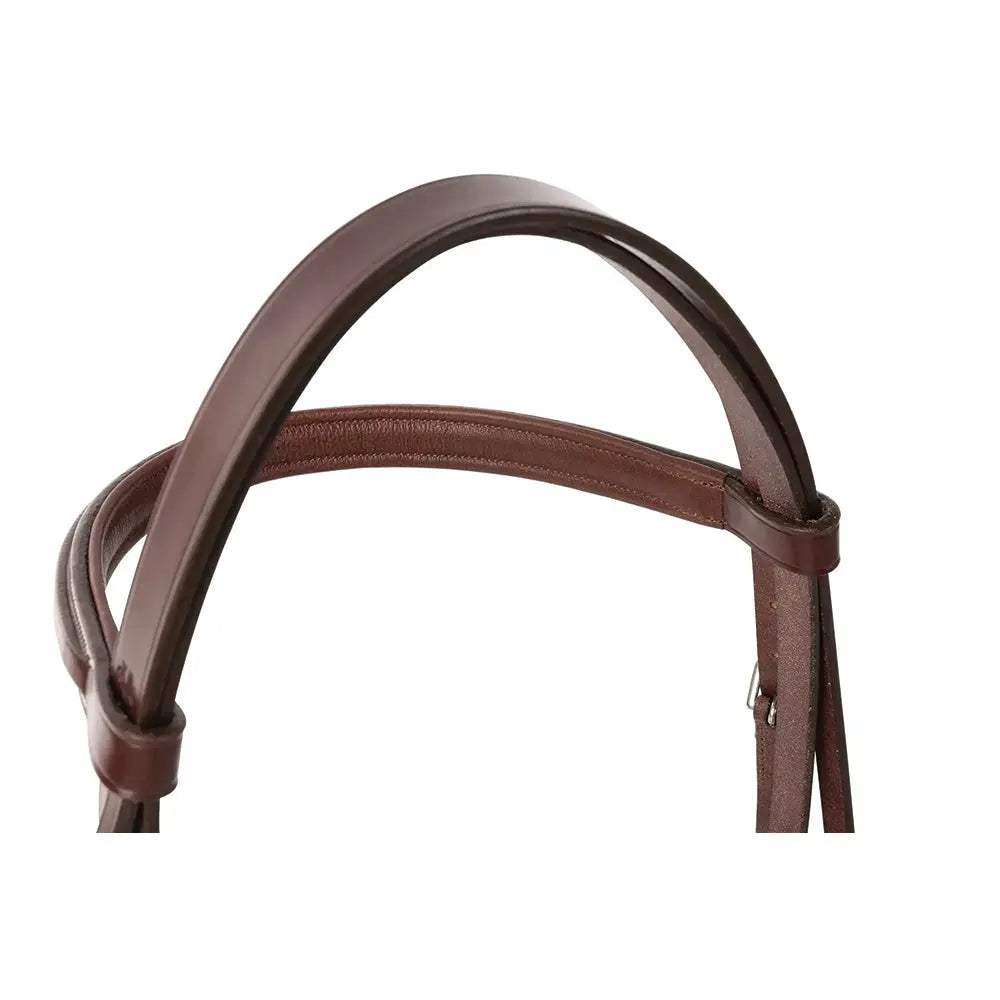 Huntley Equestrian Fancy Stitched Sedgwick Leather Padded Bridle with Reins - Huntley Equestrian - Flyclothing LLC