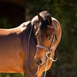 Huntley Equestrian Fancy Stitched Sedgwick Leather Padded Bridle with Reins - Huntley Equestrian - Flyclothing LLC