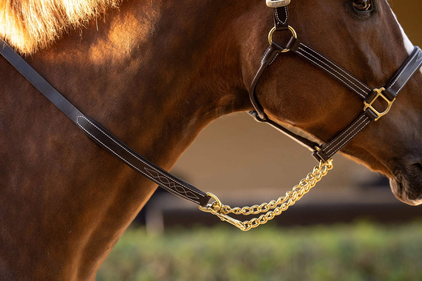 Huntley Equestrian Leather Lead with Brass Chain - Huntley Equestrian - Flyclothing LLC