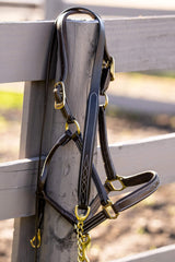 Huntley Equestrian Leather Lead with Brass Chain - Huntley Equestrian - Flyclothing LLC