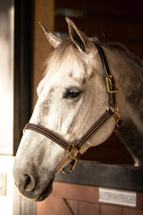 Huntley Equestrian Premium Leather Triple Stitched Halter with Snap - Huntley Equestrian - Flyclothing LLC