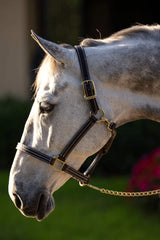 Huntley Equestrian Premium Leather Triple Stitched Halter with Snap - Huntley Equestrian - Flyclothing LLC