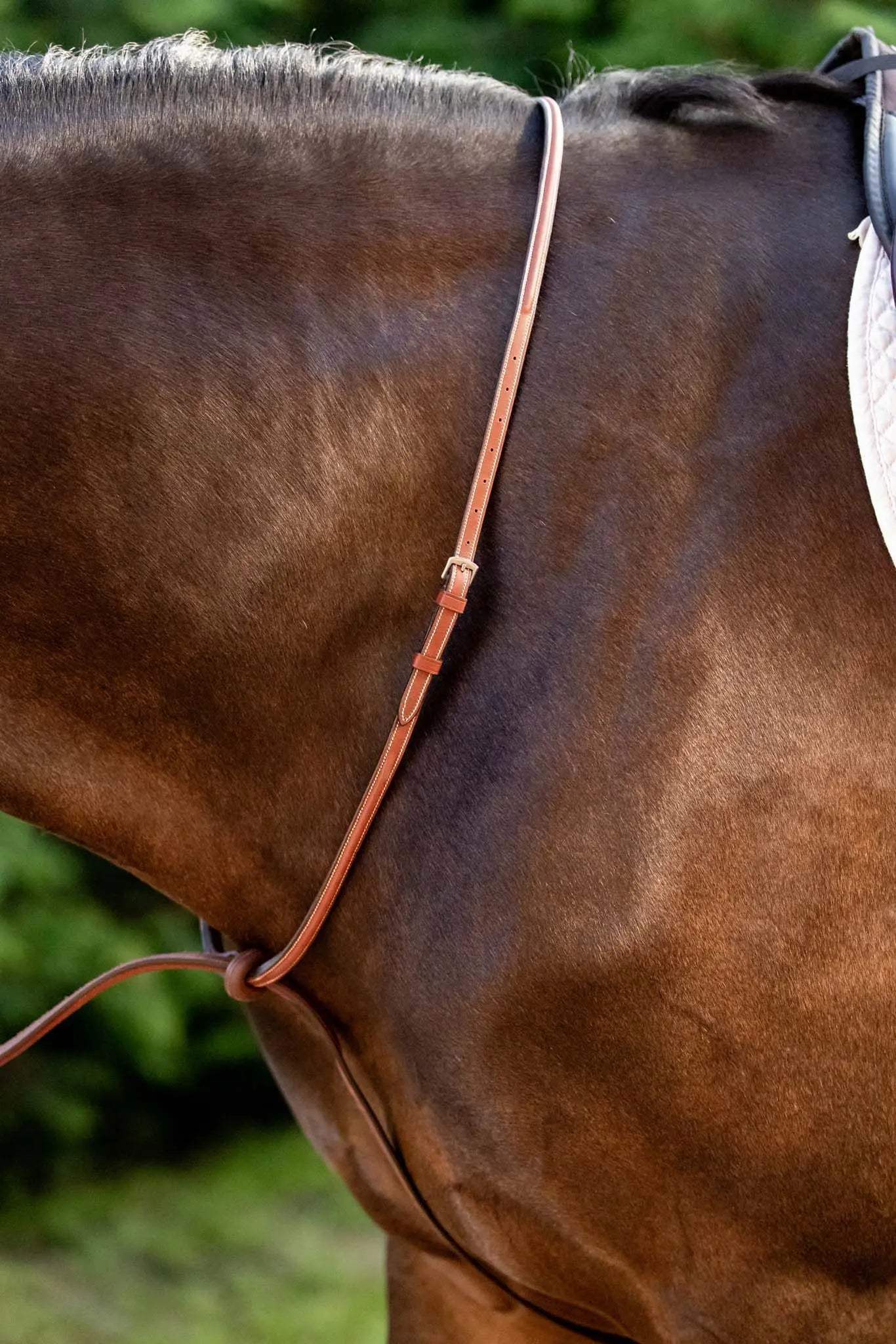 Huntley Equestrian Schooling Standing Martingale, Italian Leather - Huntley Equestrian - Flyclothing LLC