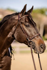 Huntley Equestrian Sedgwick Fancy Stitched Bridle with Cheek Clips and Reins - Huntley Equestrian - Flyclothing LLC