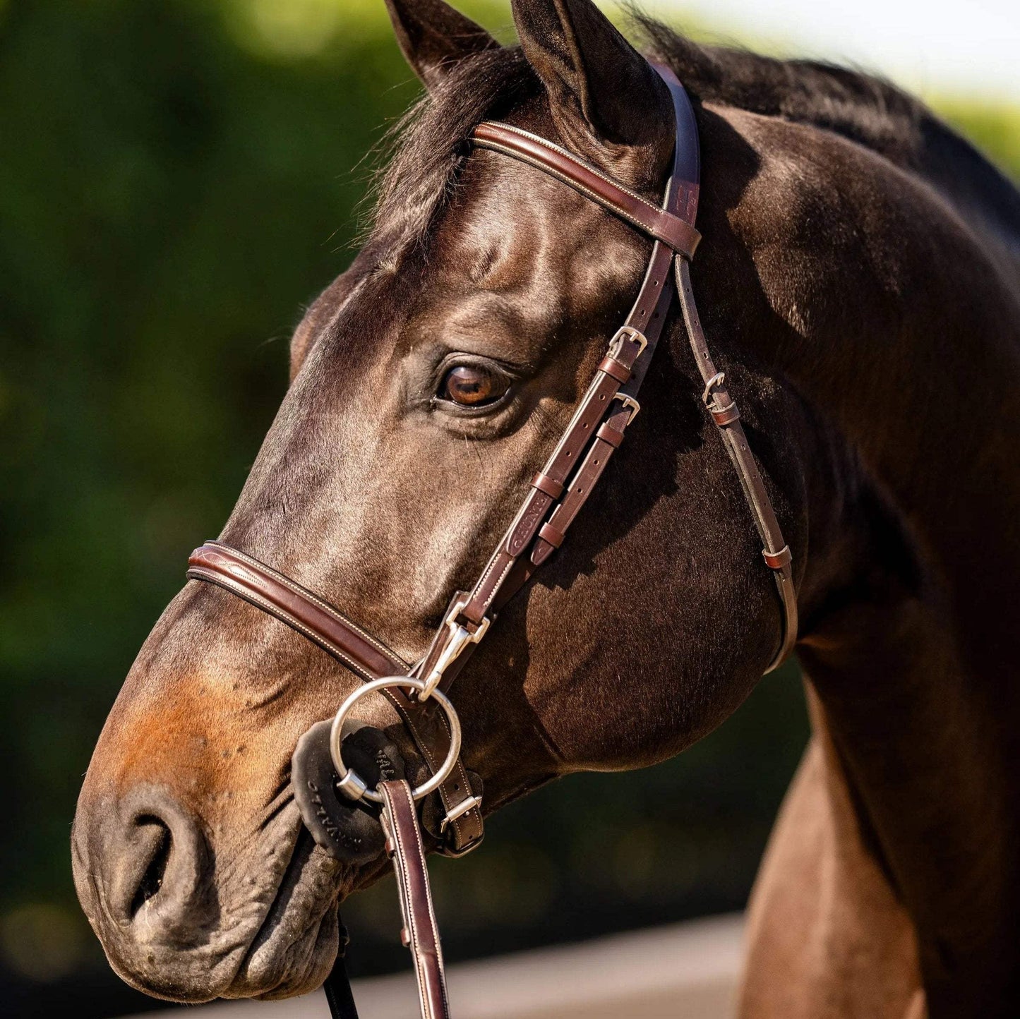 Huntley Equestrian Sedgwick Fancy Stitched Bridle with Cheek Clips and Reins - Huntley Equestrian - Flyclothing LLC