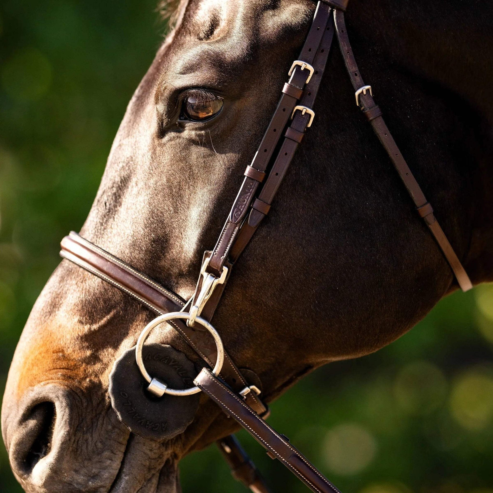 Huntley Equestrian Sedgwick Fancy Stitched Bridle with Cheek Clips and Reins - Huntley Equestrian - Flyclothing LLC