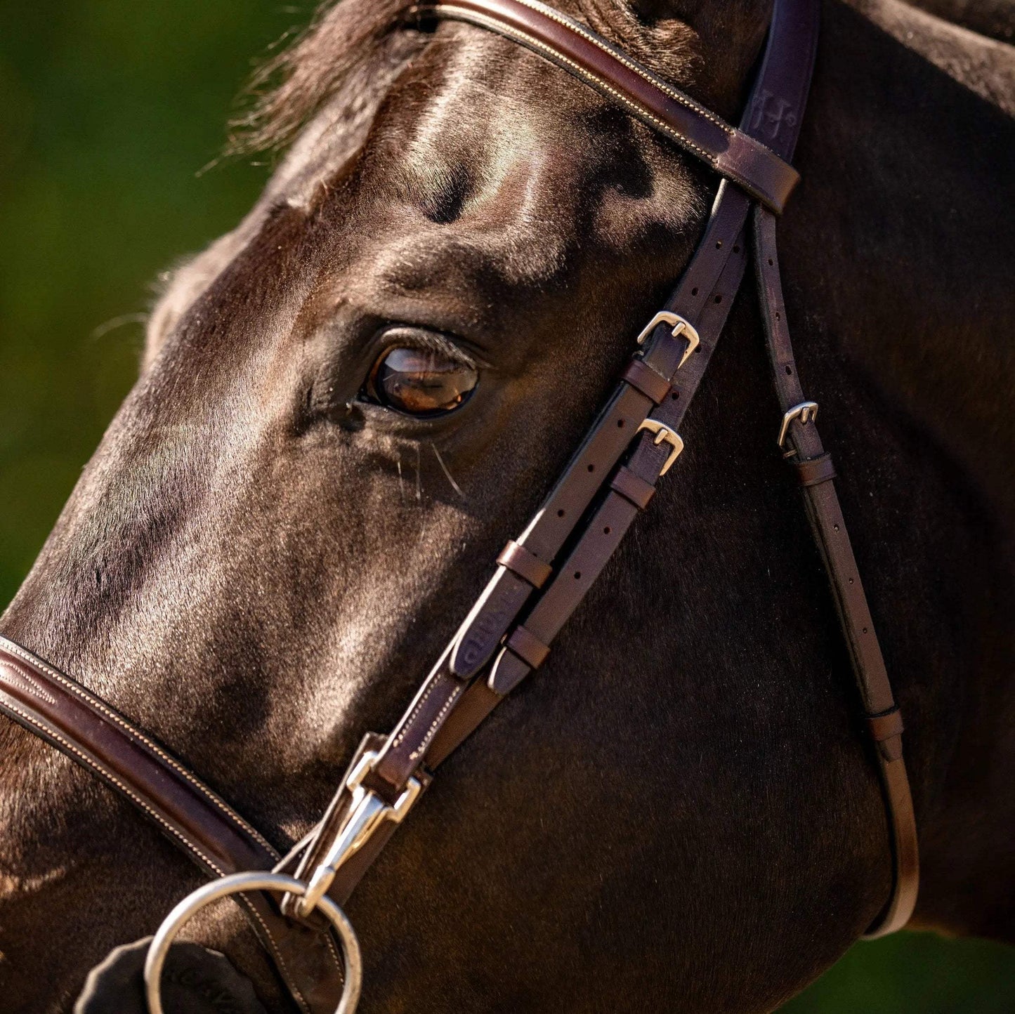 Huntley Equestrian Sedgwick Fancy Stitched Bridle with Cheek Clips and Reins - Huntley Equestrian - Flyclothing LLC