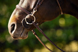 Huntley Equestrian Sedgwick Fancy Stitched Bridle with Cheek Clips and Reins - Huntley Equestrian - Flyclothing LLC