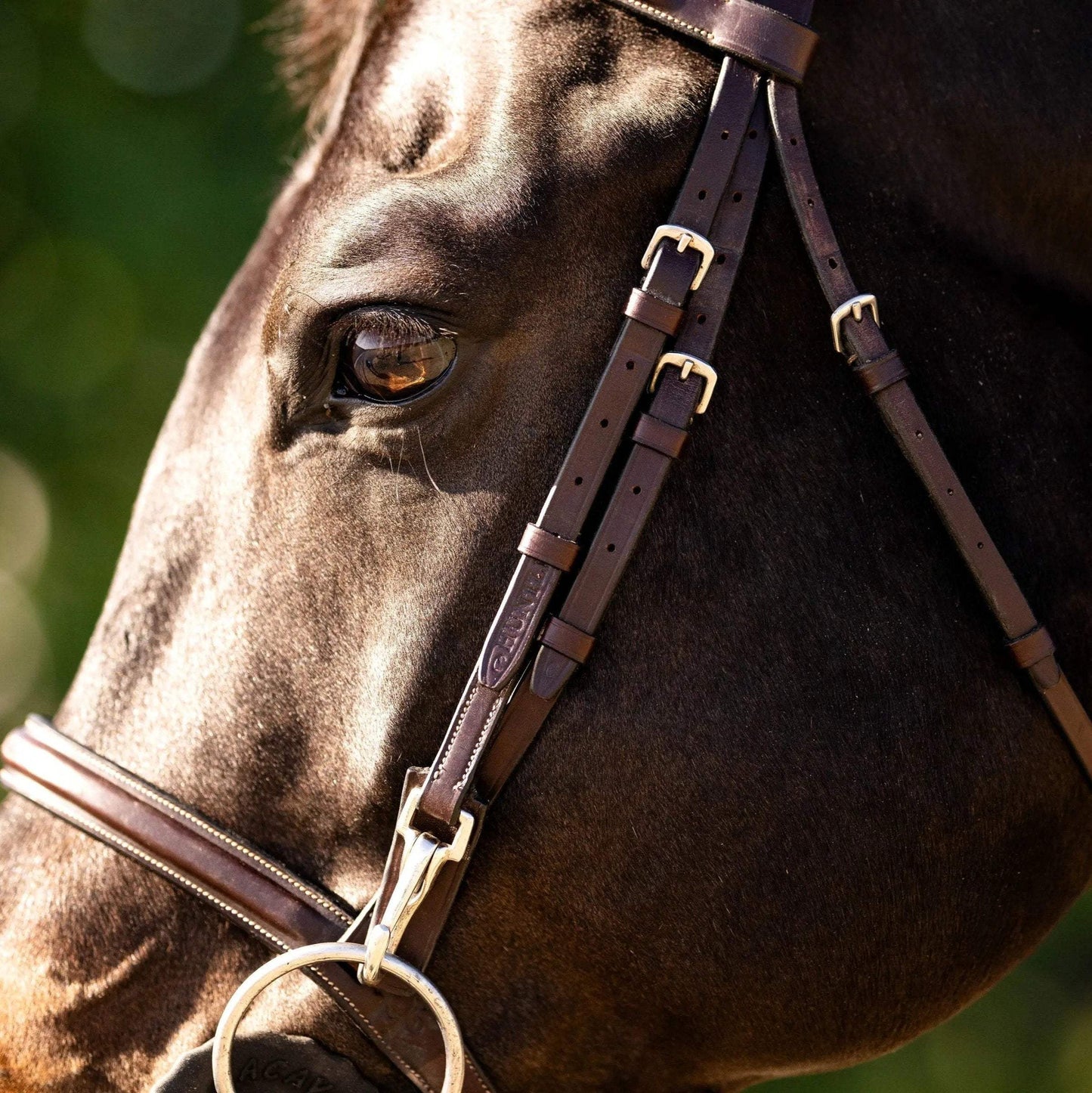 Huntley Equestrian Sedgwick Fancy Stitched Bridle with Cheek Clips and Reins - Huntley Equestrian - Flyclothing LLC