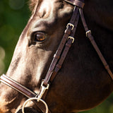 Huntley Equestrian Sedgwick Fancy Stitched Bridle with Cheek Clips and Reins - Huntley Equestrian - Flyclothing LLC