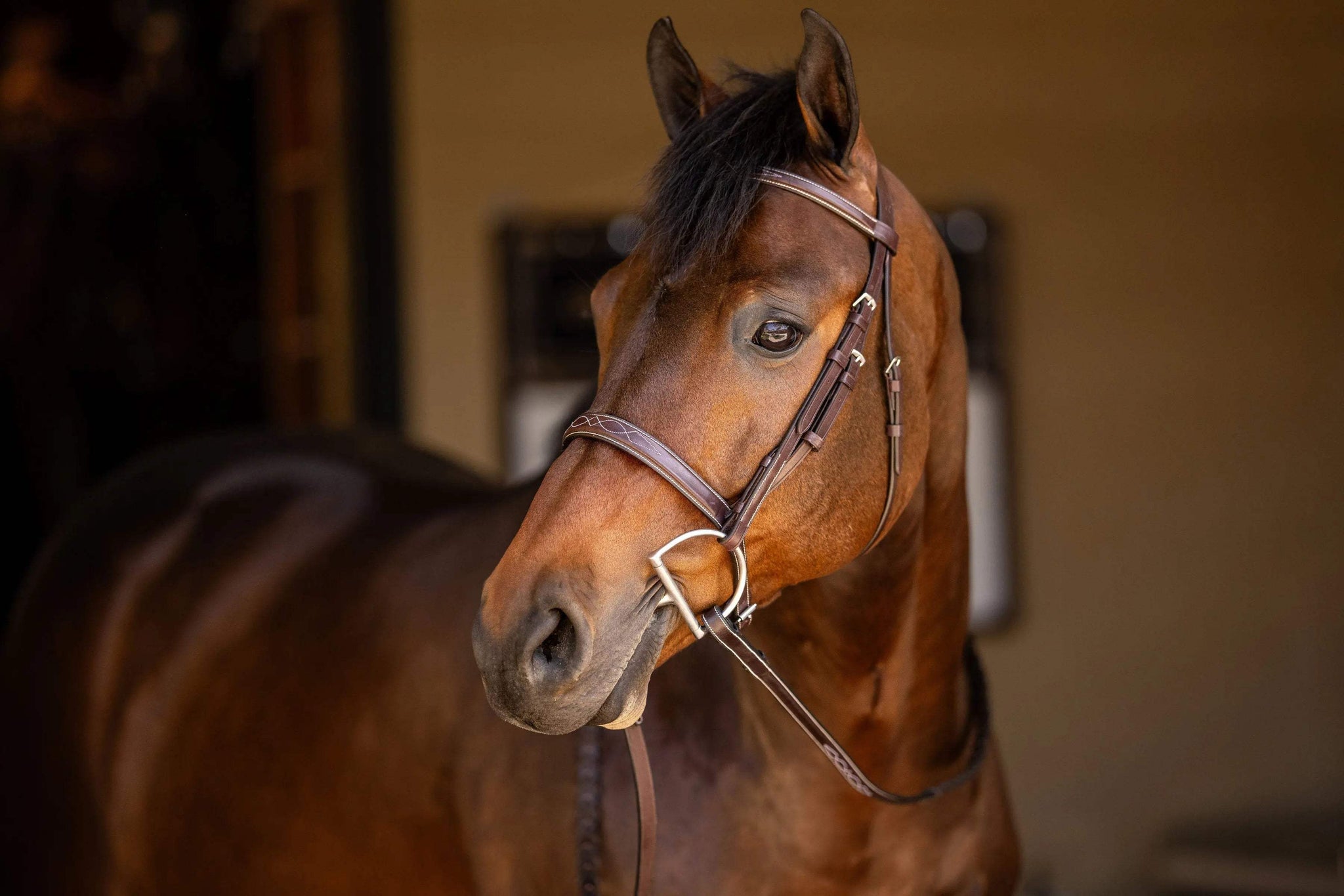 Huntley Equestrian Sedgwick Fancy Stitched Square Raised Hunter Horse Bridle with Reins - Huntley Equestrian - Flyclothing LLC