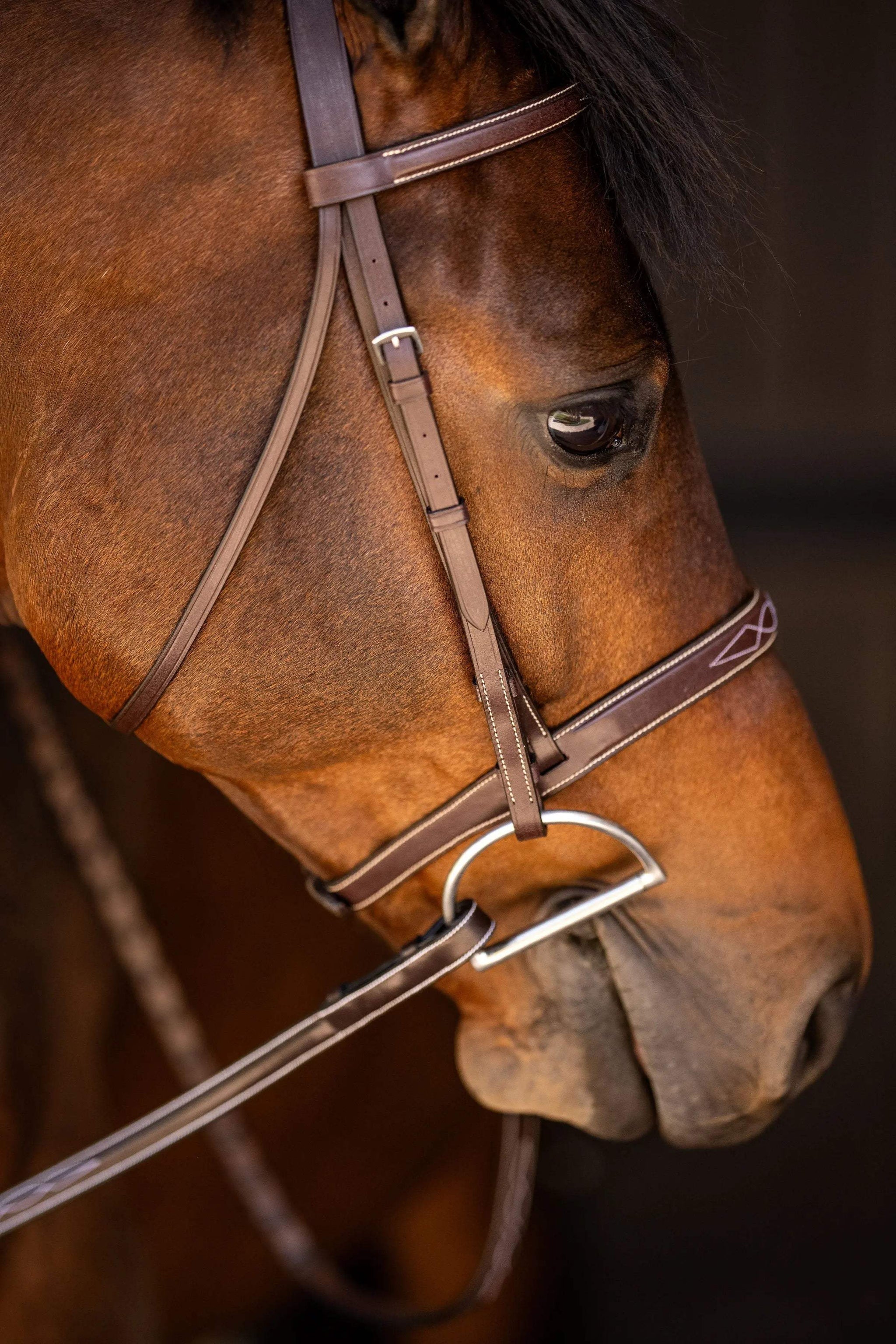 Huntley Equestrian Sedgwick Fancy Stitched Square Raised Hunter Horse Bridle with Reins - Huntley Equestrian - Flyclothing LLC