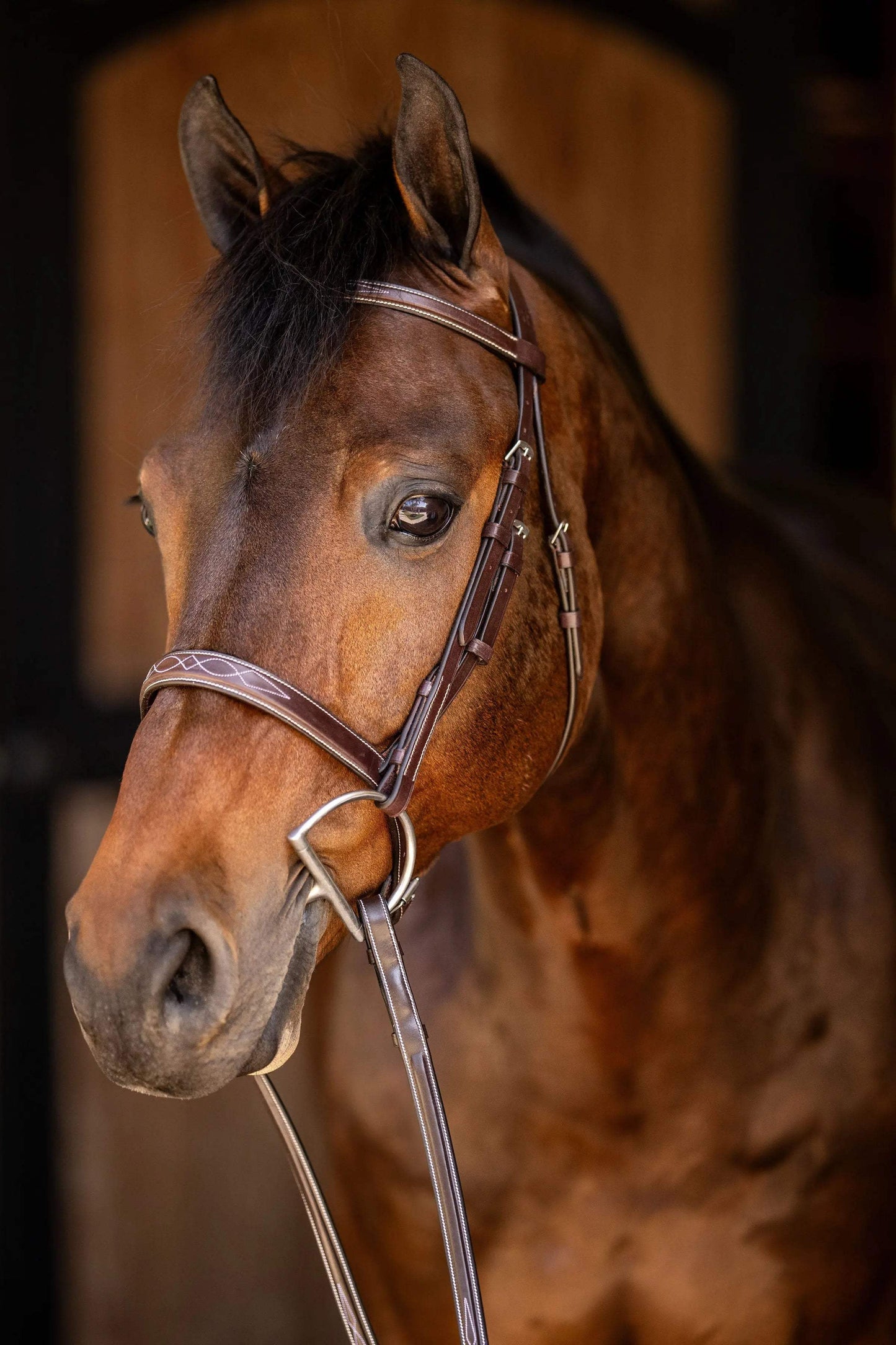 Huntley Equestrian Sedgwick Fancy Stitched Square Raised Hunter Horse Bridle with Reins - Huntley Equestrian - Flyclothing LLC