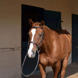 Huntley Equestrian Sedgwick Fancy Stitched Square Raised Hunter Horse Bridle with Reins - Huntley Equestrian - Flyclothing LLC