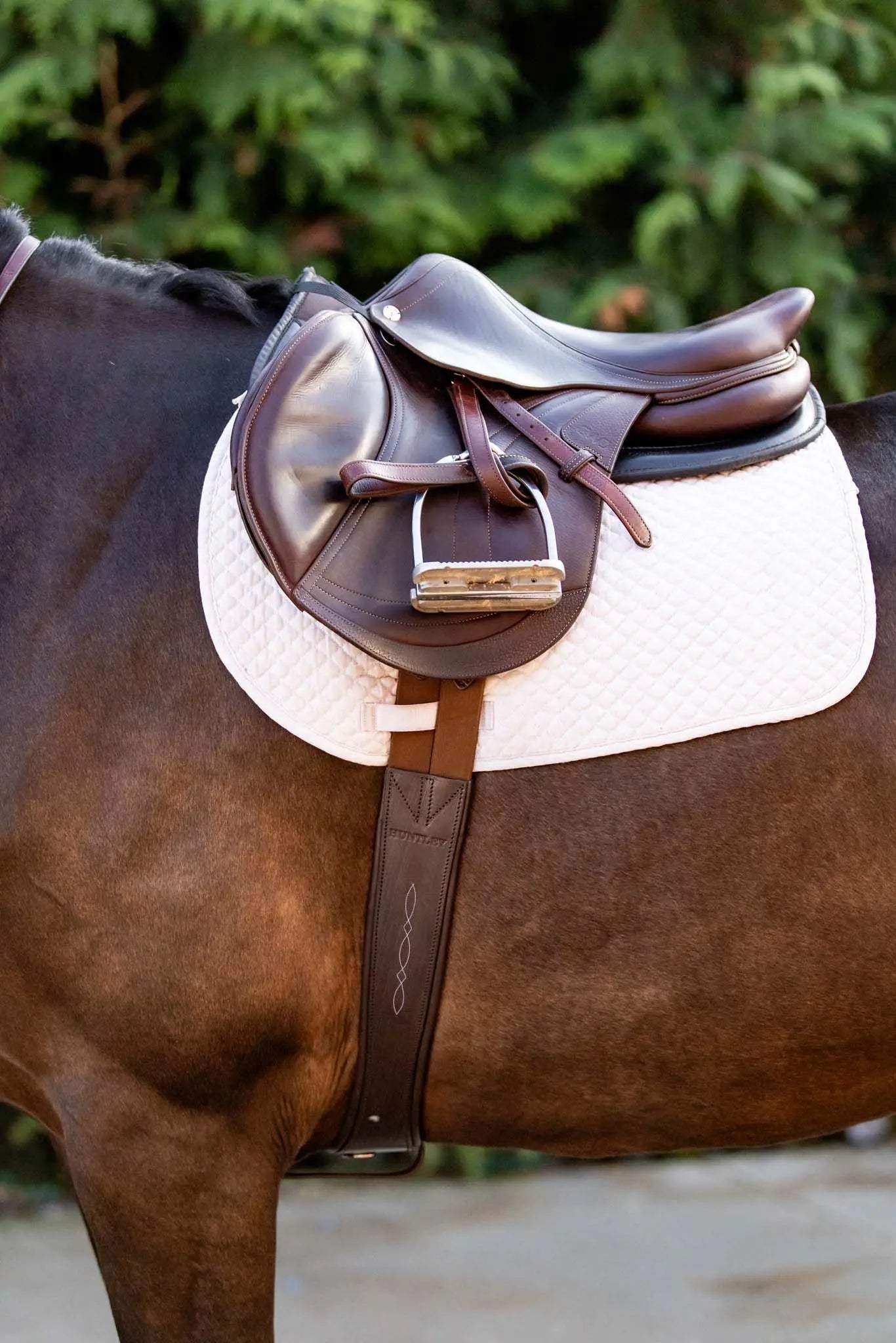 Huntley Equestrian Sedgwick Leather Fancy Stitched Padded Leather Contour Shaped Girth with Double End Elastic - Huntley Equestrian - Flyclothing LLC
