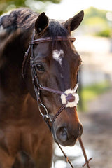 Huntley Equestrian Sedgwick Leather Padded Monocrown Figure 8 Bridle - Huntley Equestrian - Flyclothing LLC