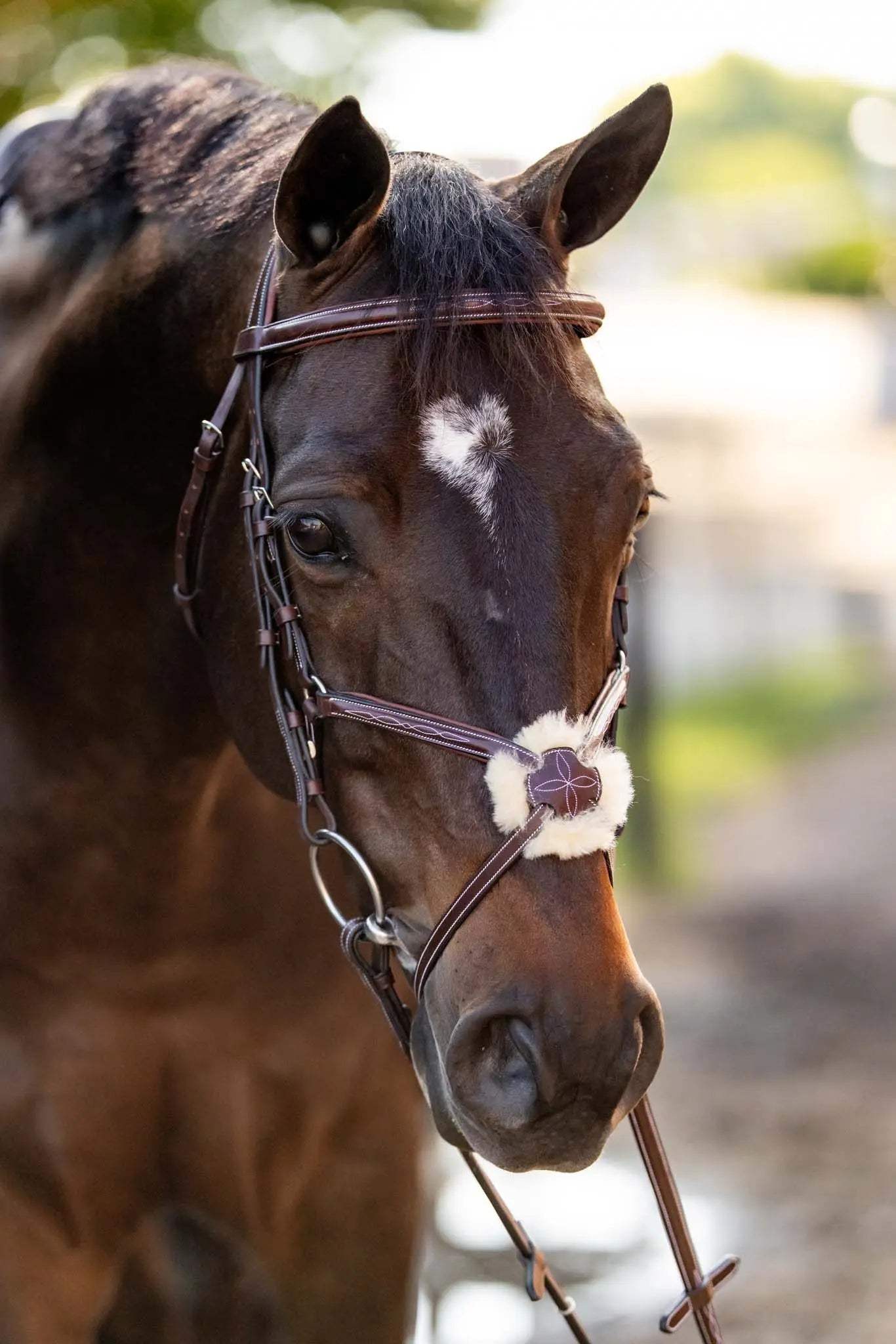 Huntley Equestrian Sedgwick Leather Padded Monocrown Figure 8 Bridle - Huntley Equestrian - Flyclothing LLC