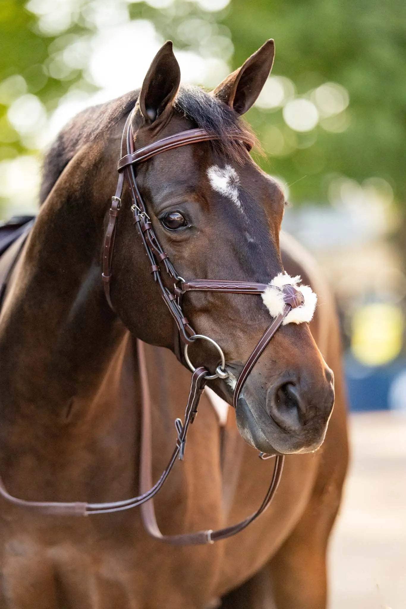 Huntley Equestrian Sedgwick Leather Padded Monocrown Figure 8 Bridle - Huntley Equestrian - Flyclothing LLC