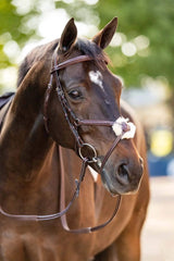 Huntley Equestrian Sedgwick Leather Padded Monocrown Figure 8 Bridle - Huntley Equestrian - Flyclothing LLC
