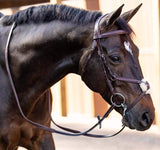 Huntley Equestrian Sedgwick Leather Padded Monocrown Figure 8 Bridle - Huntley Equestrian - Flyclothing LLC