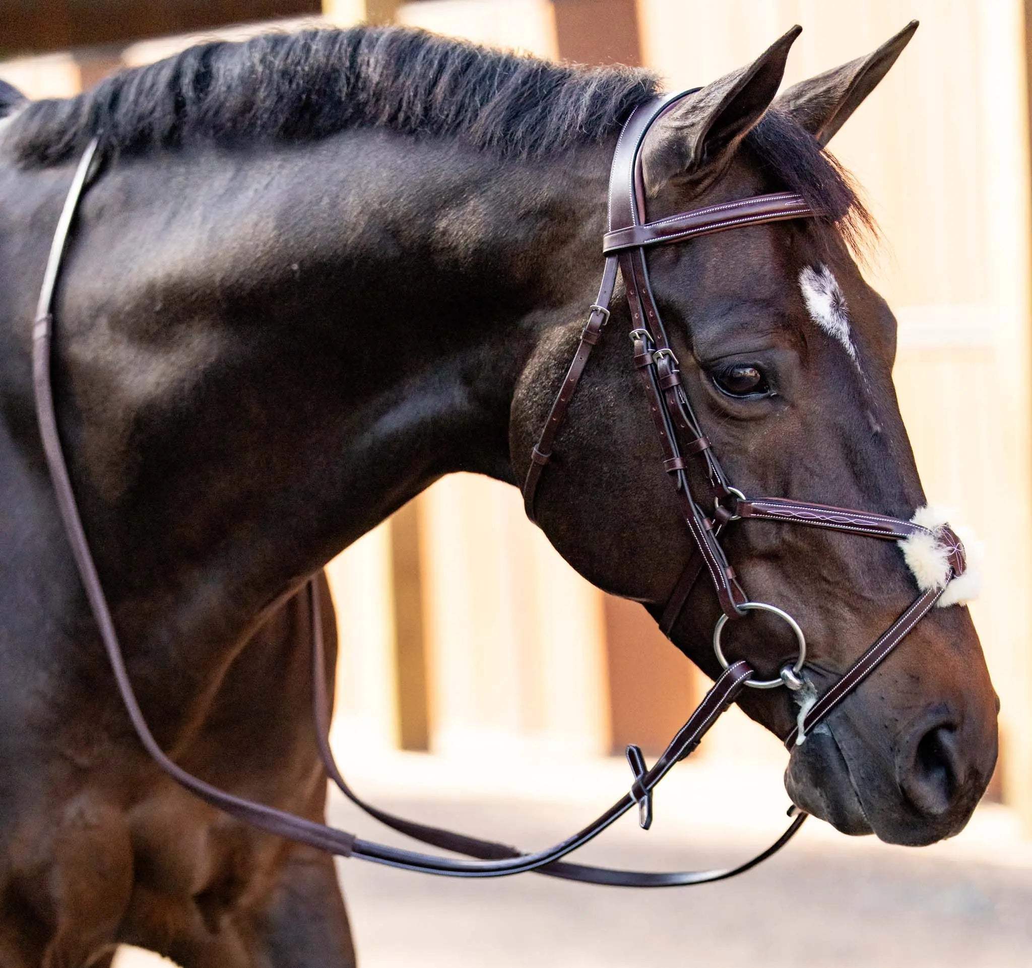 Huntley Equestrian Sedgwick Leather Padded Monocrown Figure 8 Bridle - Huntley Equestrian - Flyclothing LLC